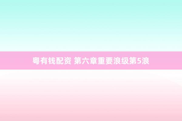 粤有钱配资 第六章重要浪级第5浪