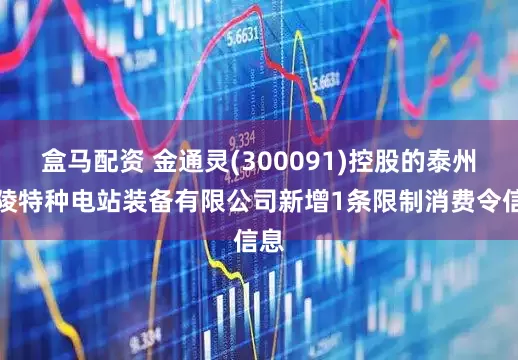 盒马配资 金通灵(300091)控股的泰州锋陵特种电站装备有限公司新增1条限制消费令信息