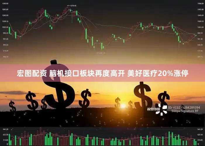 宏图配资 脑机接口板块再度高开 美好医疗20%涨停